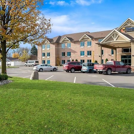 Comfort Inn & Suites Taylor Zewnętrze zdjęcie